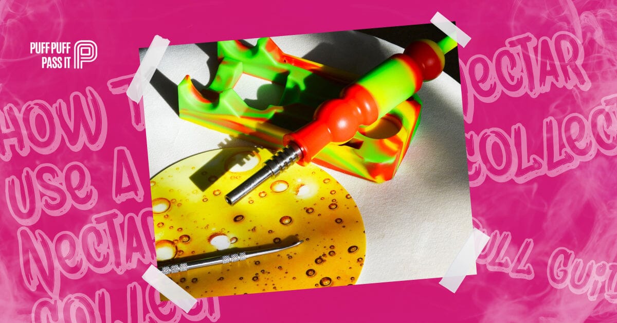 How To Use A Nectar Collector: Full Guide
