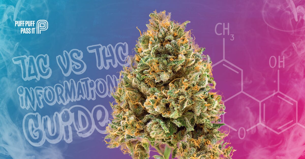 Informational Guide to TAC vs THC