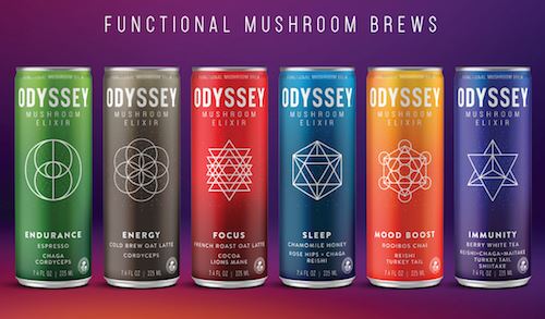 Functional Mushroom Brews Drink Beverage Odyssey 