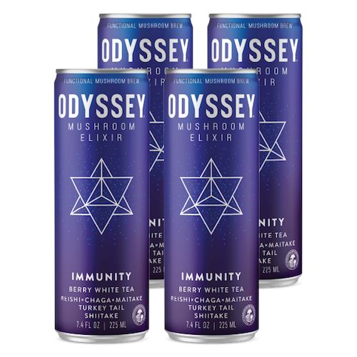 Functional Mushroom Brews Drink Beverage Odyssey Immunity (2 Pack) 